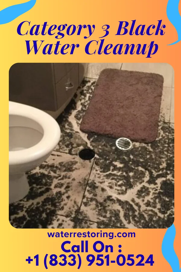 Category 3 Black Water Cleanup in New Waterford, OH