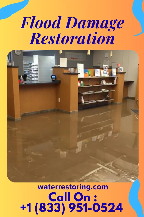 Flood Damage Restoration in New Waterford, OH