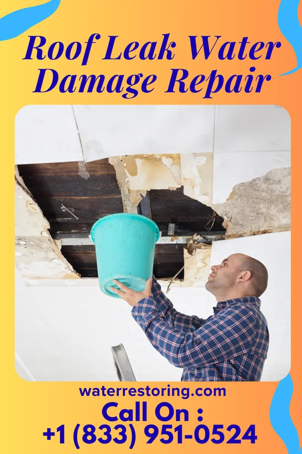 Roof Leak Water Damage Repair in New Waterford, OH
