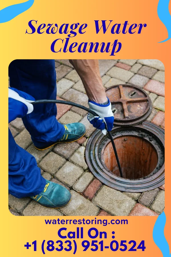 Sewage Water Cleanup in New Waterford, OH