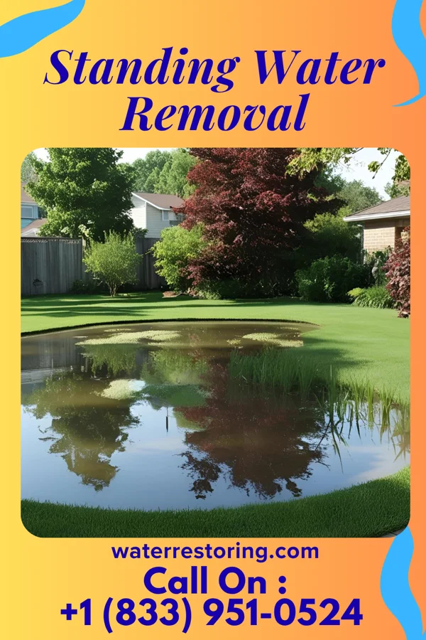 Standing Water Removal in New Waterford, OH